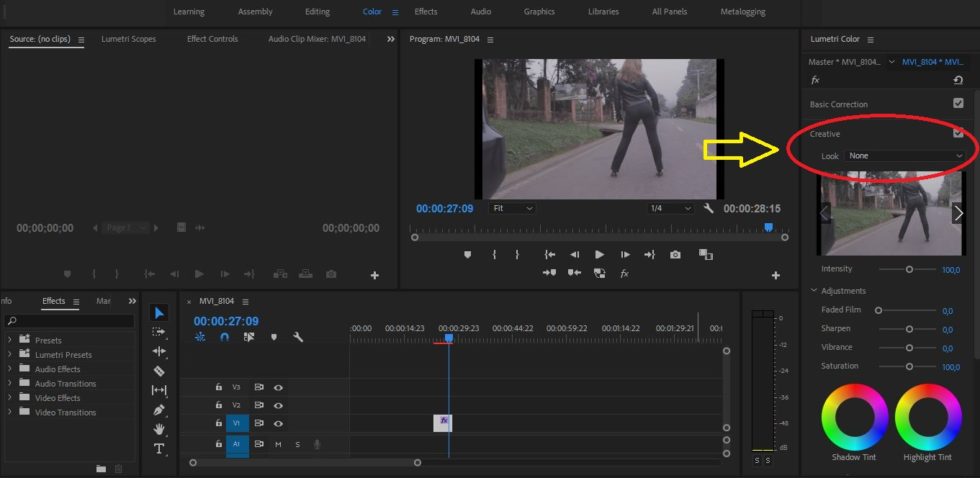 apply lut davinci resolve premiere apply lut davinci resolve premiere